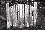 alttext